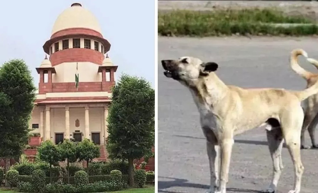 Supreme Court Order