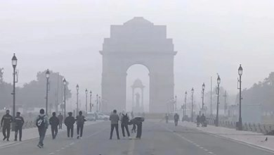 North india pink cold